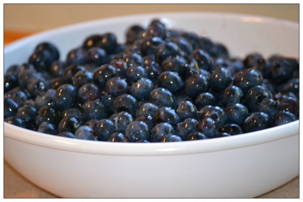 Superfoods:: Blueberries | YouAnew Lifestyle Nutrition 