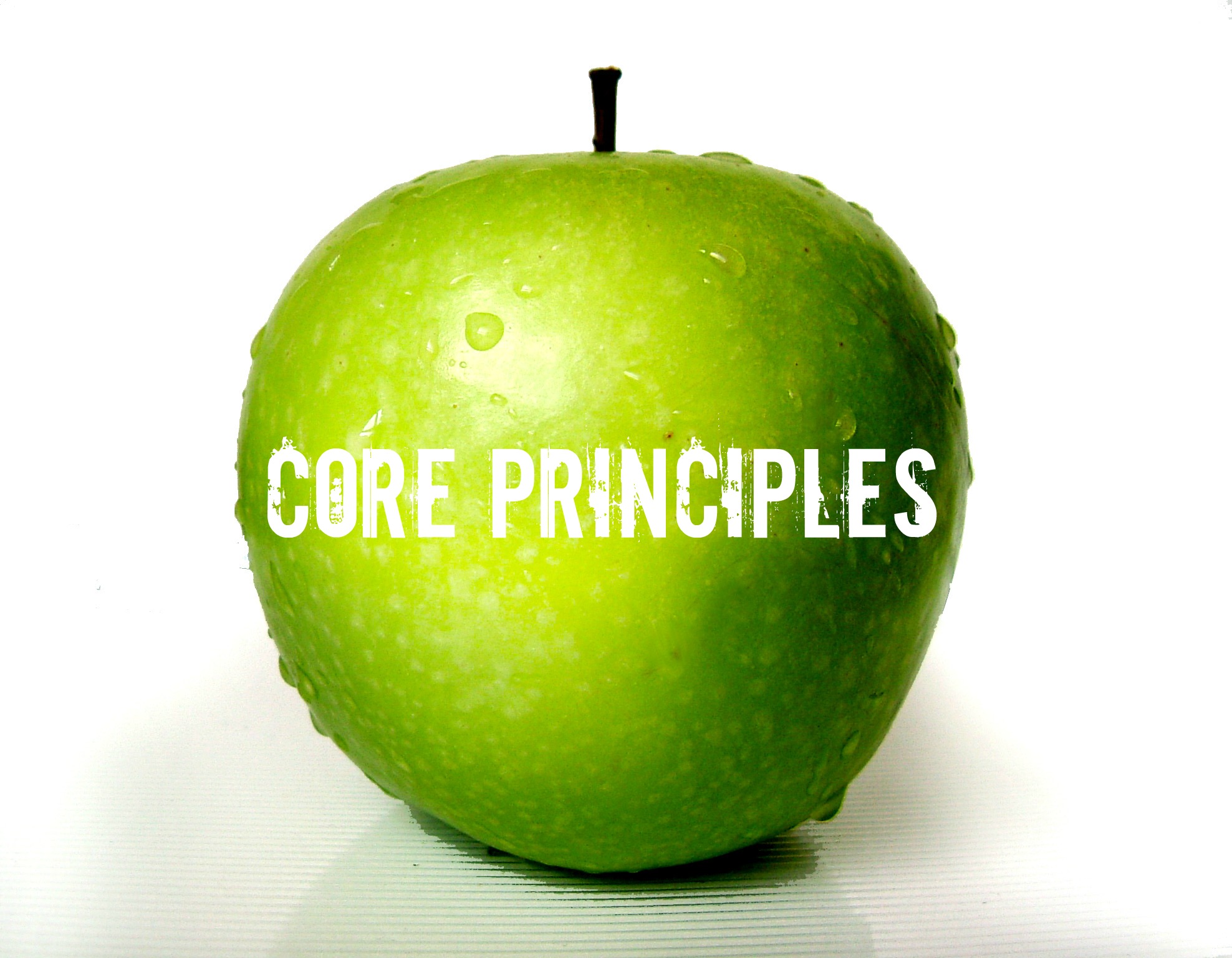 Core Principles | YouAnew Lifestyle Nutrition