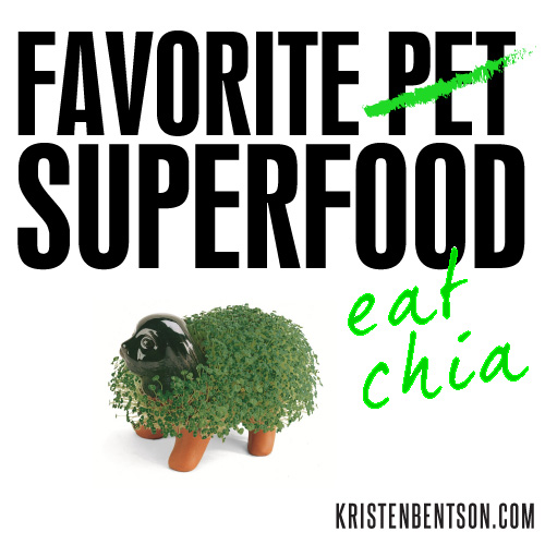 Chia Uses and Recipe Ideas | Superfood| KristenBentson.com