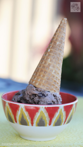 Vegan Double Chocolate Mint Chip Ice Cream Recipe